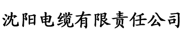 少年阿滨文全目录电缆厂logo